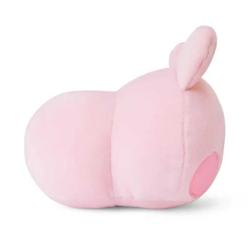 BT21 - Minini Petit Cushion - Image 8