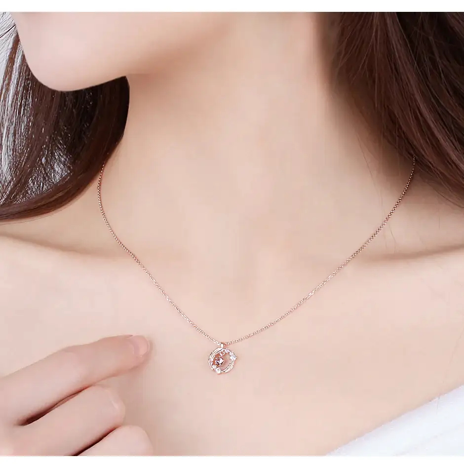 CLUE - Good Fortune January Feather Silver Necklace - Image 4