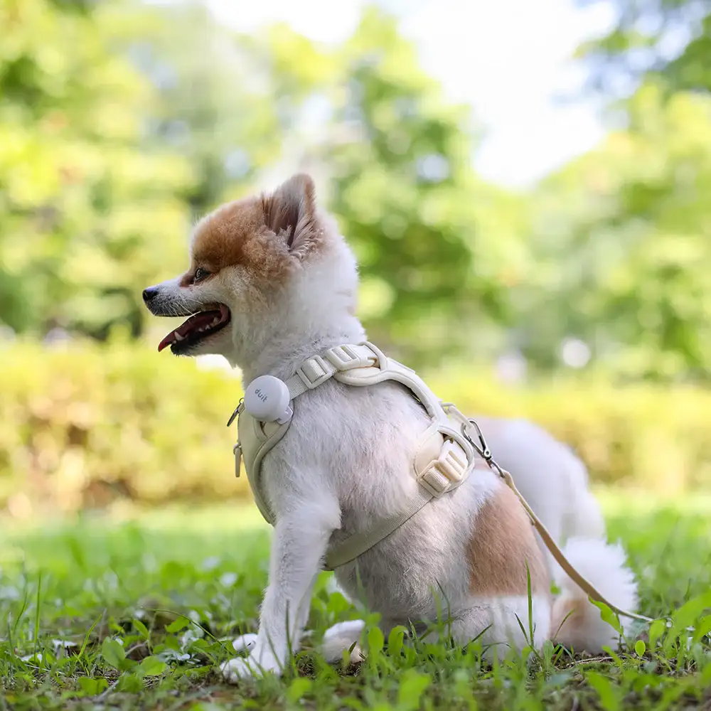 Duit - Pet Body Fit Harness - Image 5