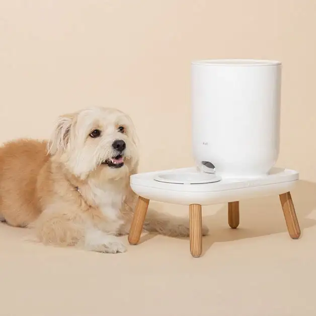 Duit - Pet The Table Plus - Image 3