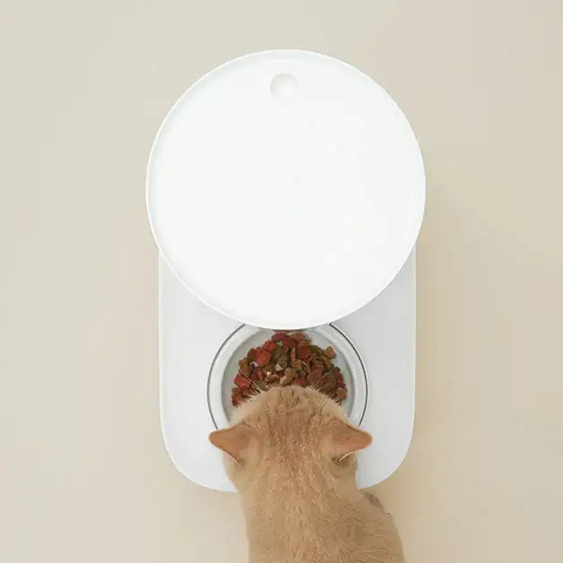 Duit - Pet The Table Plus - Image 4