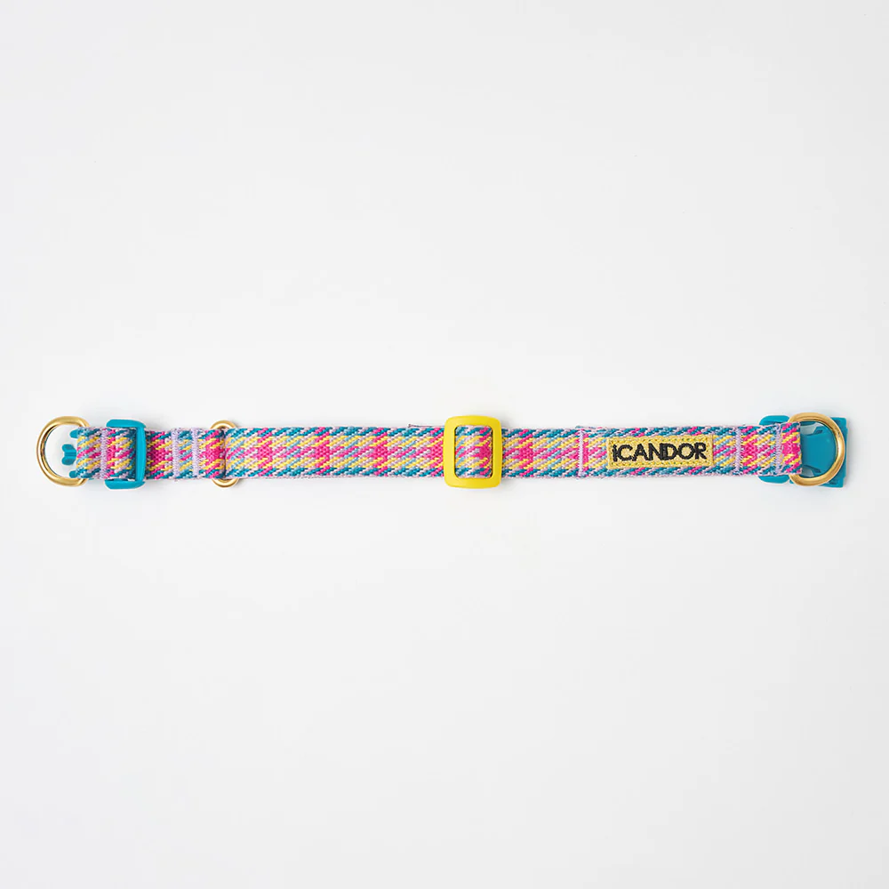 iCANDOR - Gentle Collar Dual Edinburgh Check - Image 2