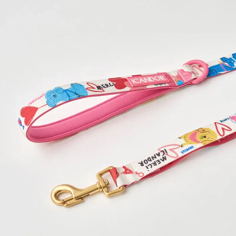 iCANDOR - Gentle Leash - Image 2