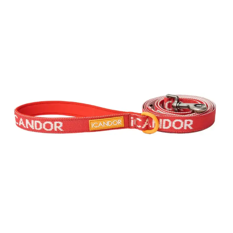 iCANDOR - Gentle Leash - Image 3