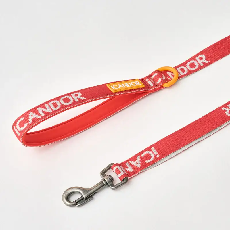iCANDOR - Gentle Leash - Image 4