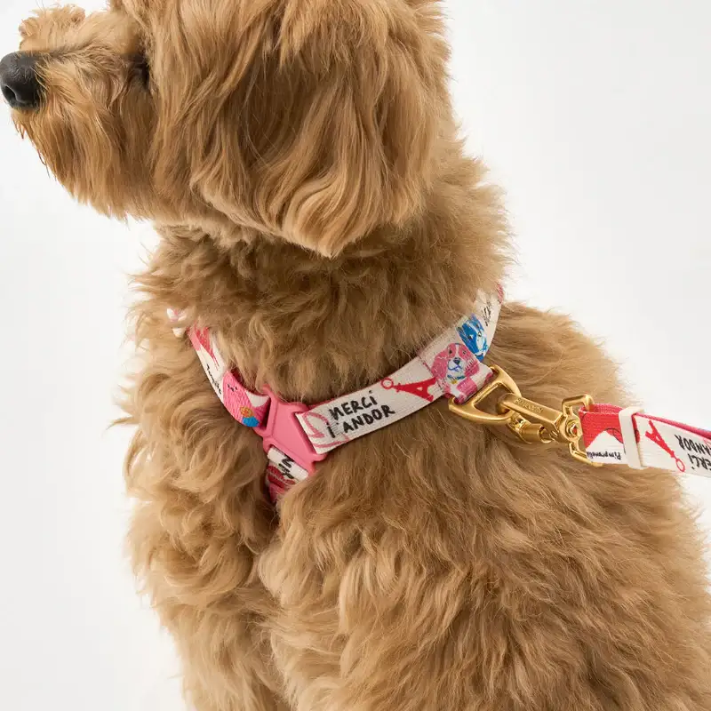 iCANDOR - Gentle Leash Bolt, Long - Image 15