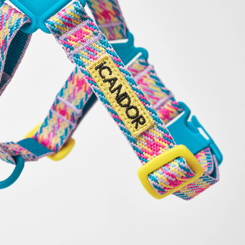 iCANDOR - No-Pull Harness Edinburgh Check - Image 5