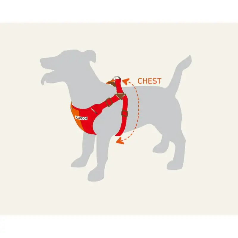 iCANDOR - Snuggle Harness - Image 15