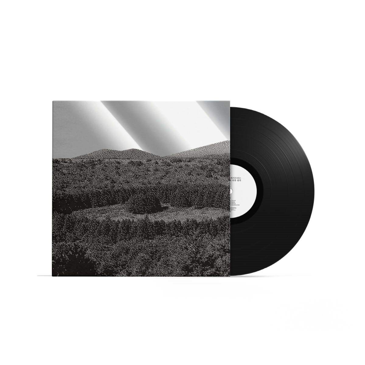 In the Endless Reverberation We - Inevitability By a Series of Coincidences (LP)