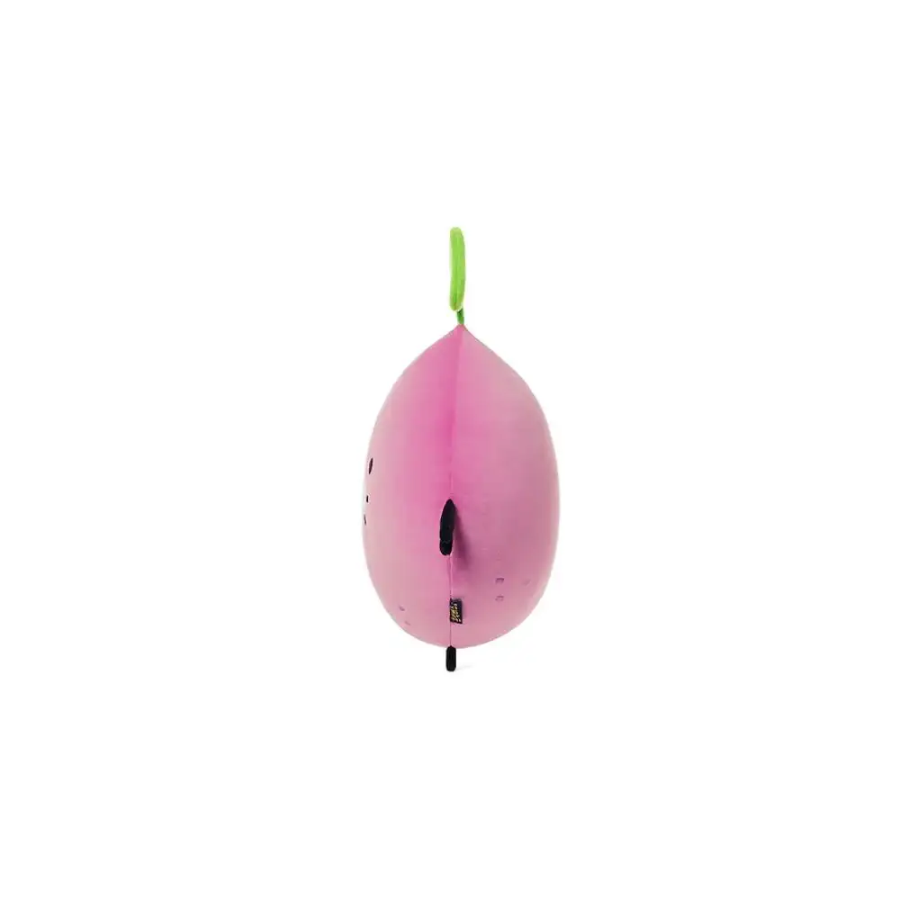 Kakao Friends - Choonsik Bus UNIVERSE Face Cushion - Image 32
