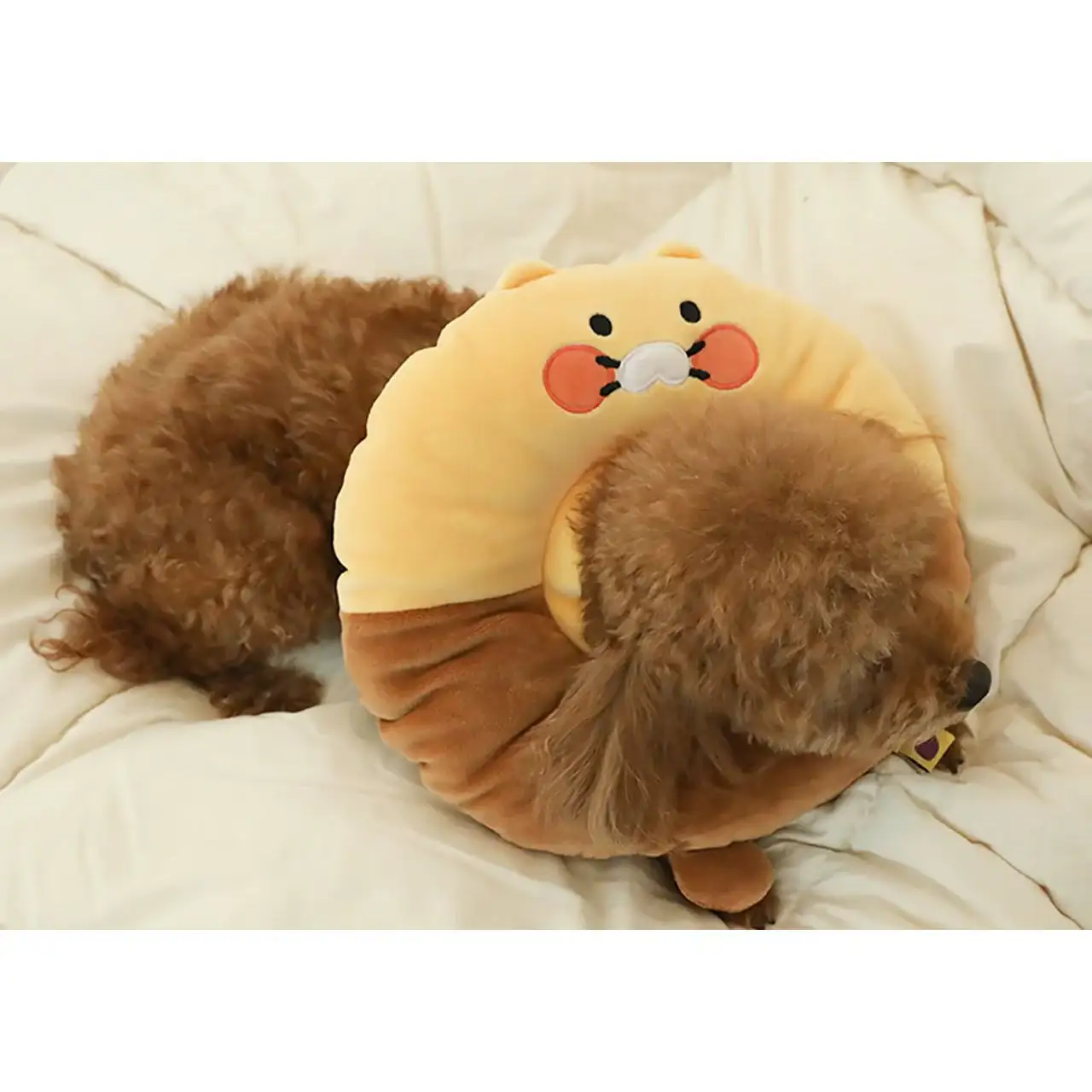 Kakao Friends - Choonsik Pet Neck Collar - Image 6