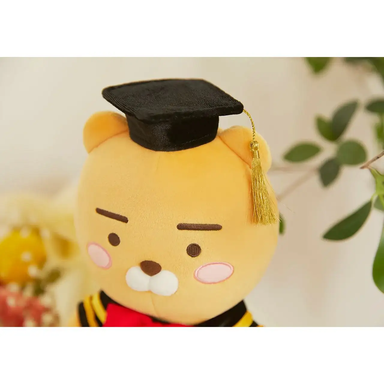 Kakao Friends - Graduation Plush Dolls - Image 16