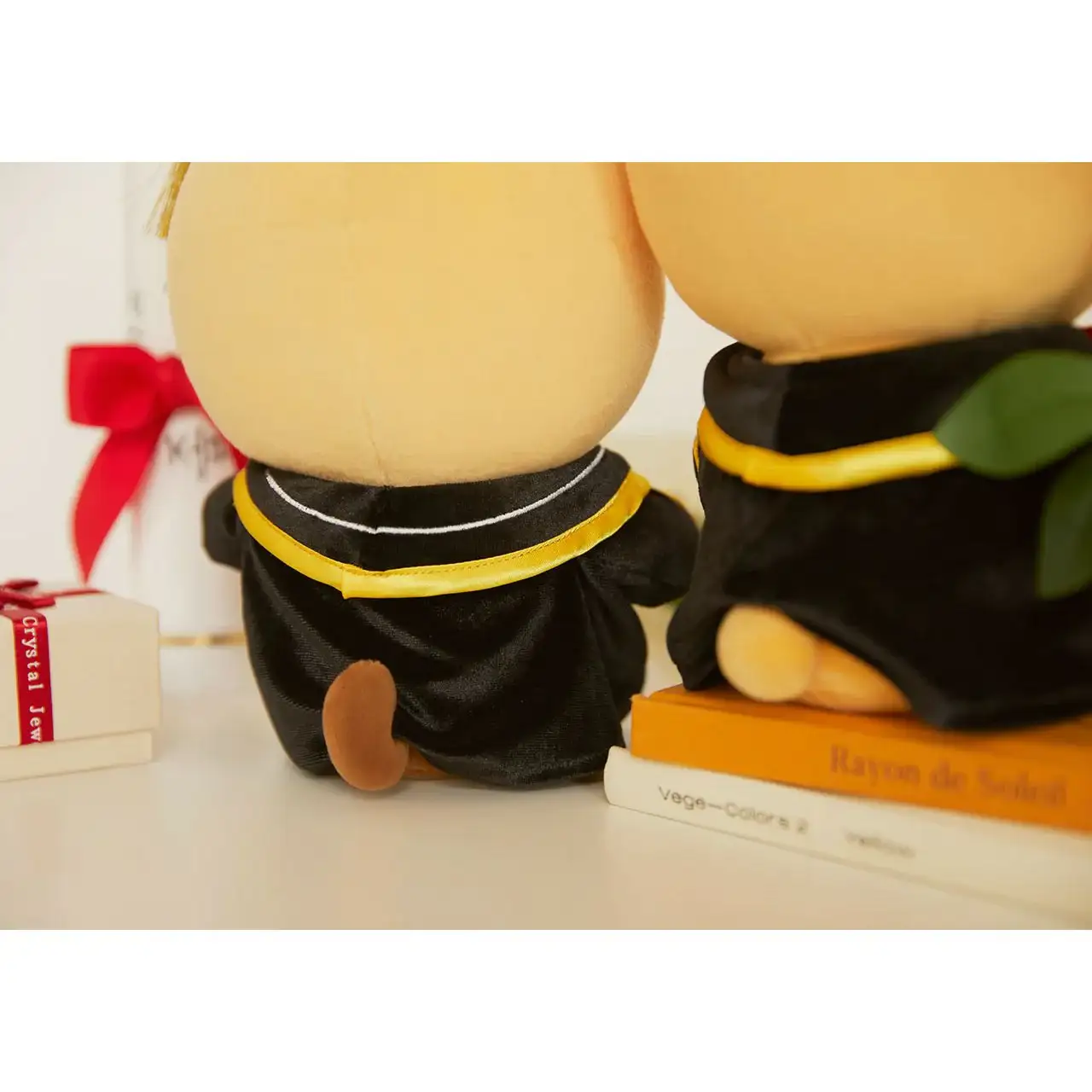 Kakao Friends - Graduation Plush Dolls - Image 5