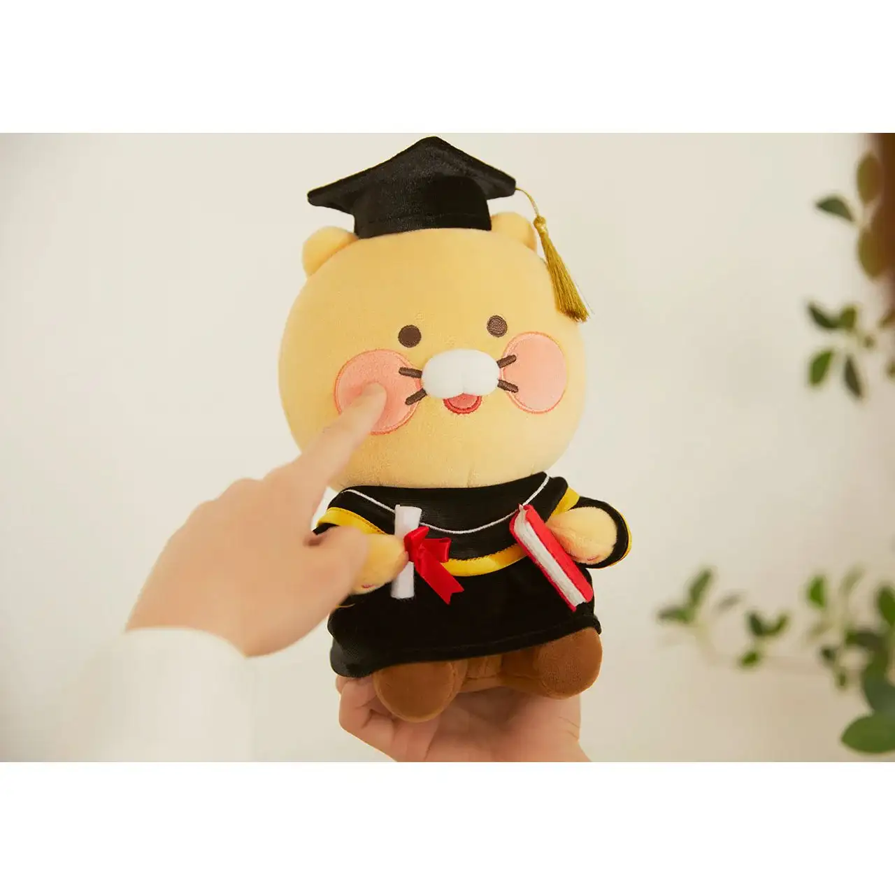 Kakao Friends - Graduation Plush Dolls - Image 6