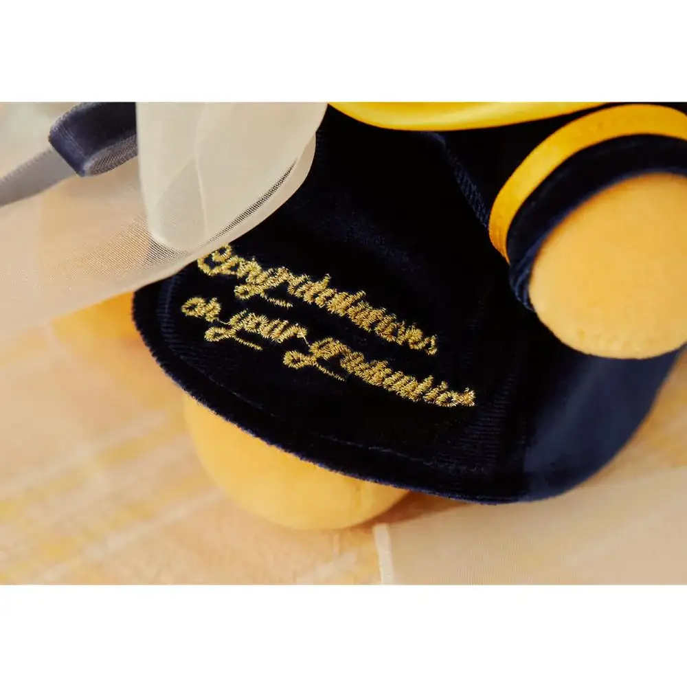 Kakao Friends - Ryan Congratulations Plush Doll - Image 3