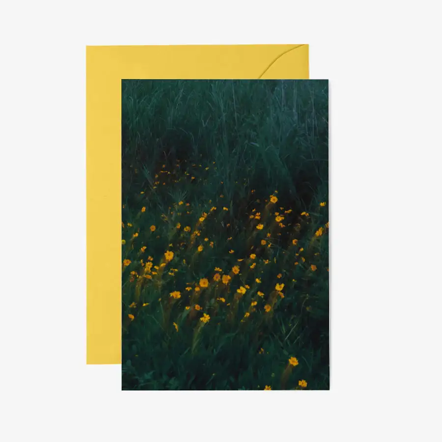 Kim Ji Neok - Flower Postcard & Envelope Set - Image 2