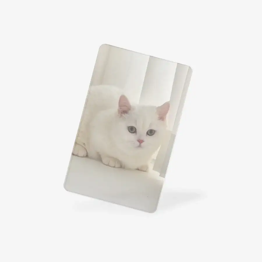 Melanger - Cutie Cat Vertical Photocard - Image 2