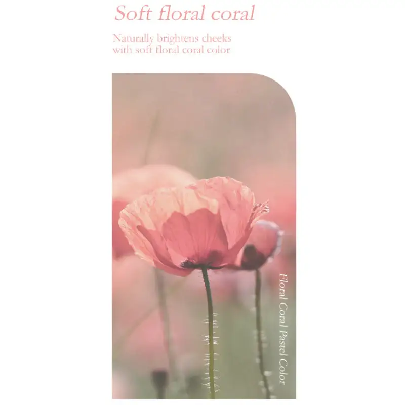 Moolda - Pastel Powder Blusher - Image 4