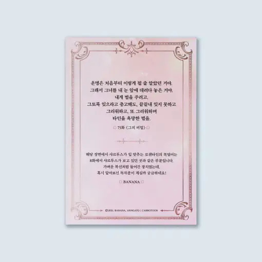 Secret Lady - Illustration Commentary Cards Vol.2 - Image 4