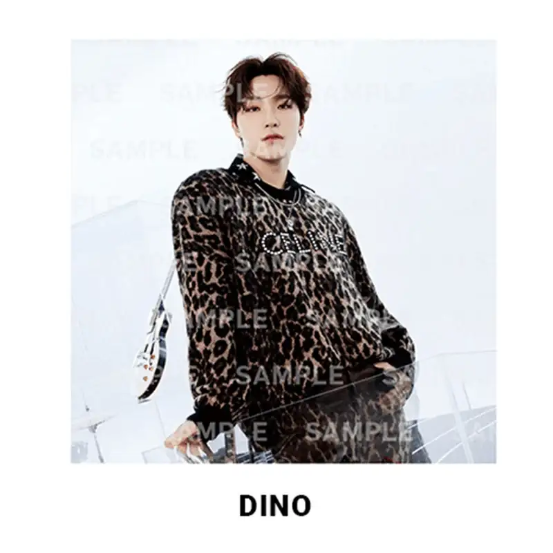 Seventeen - DREAM - Photo Canvas - Image 15