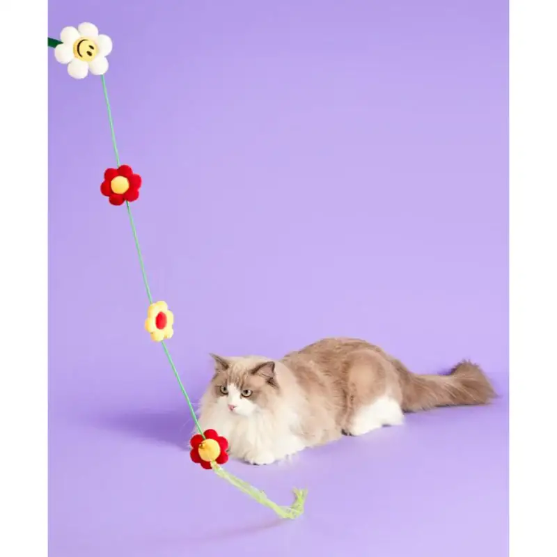 Wiggle Wiggle - Cat Long Teaser - Image 12