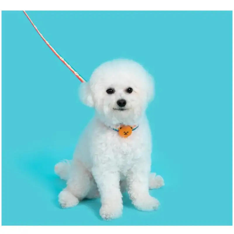 Wiggle Wiggle - Night Safety LED Pendant - Wiggle Bear - Image 7